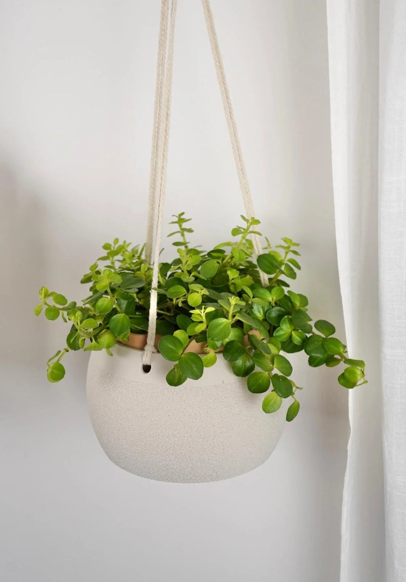 Hanging Planter