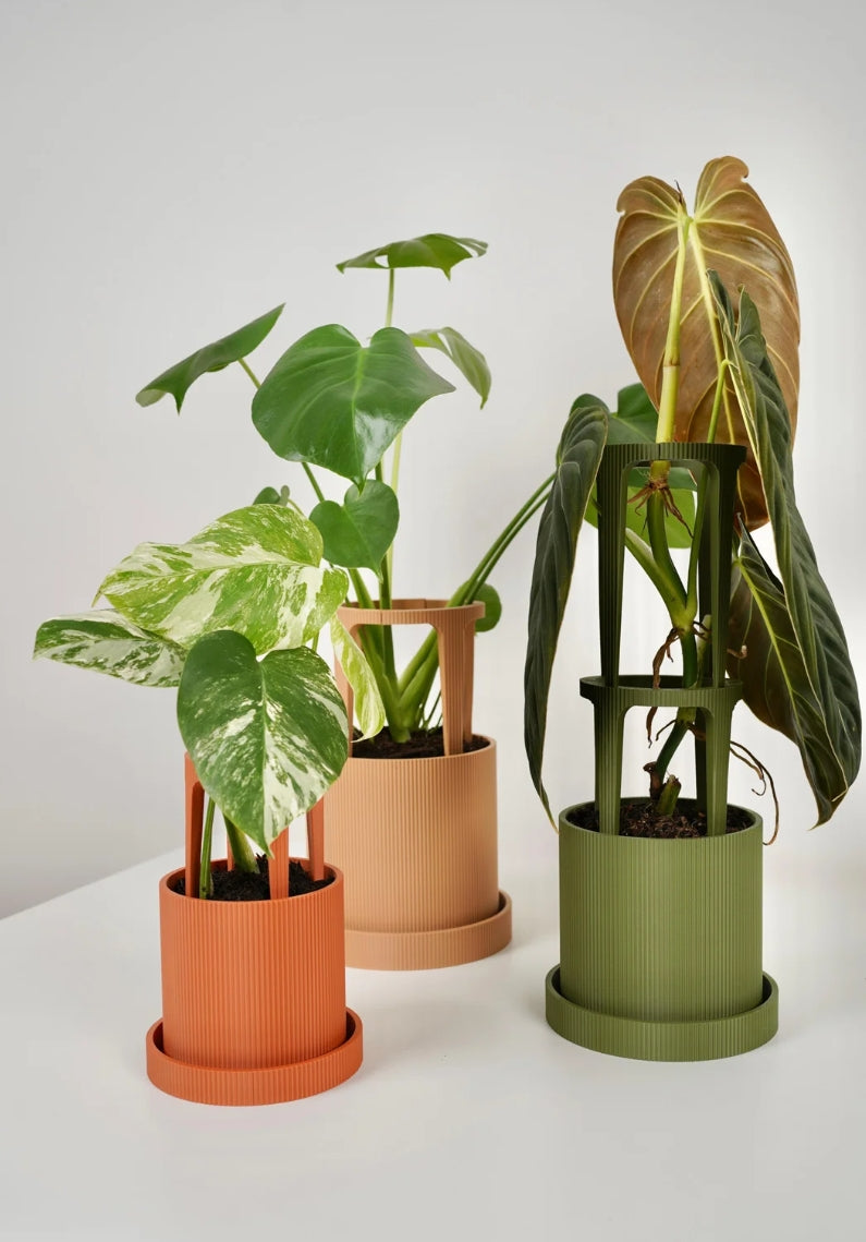 Planter with Matching Plant Stakes (variants)