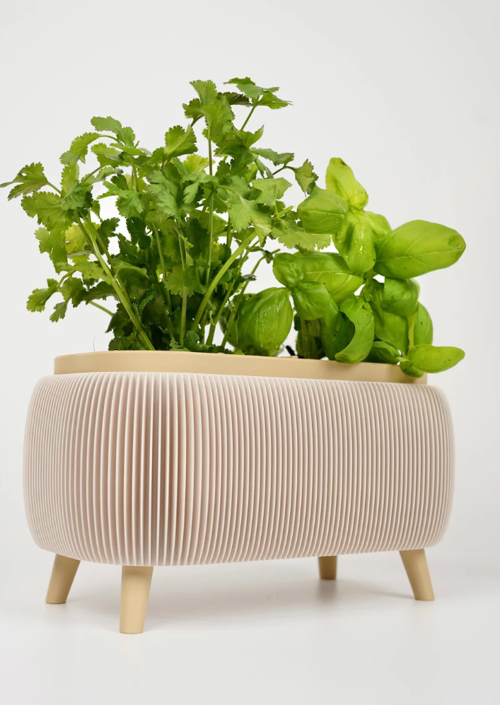 Desk Planter - Large Size