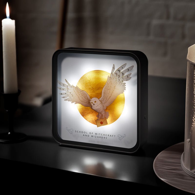 Harry Potter Hedwig Perspex Lamp - Bstorekw