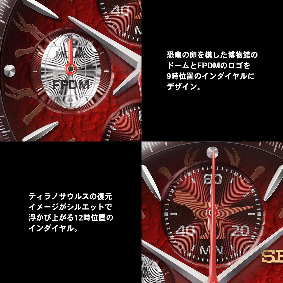 Seiko x Fukui Prefectural Dinosaur Museum 25th Anniversary watch - Limited Edition