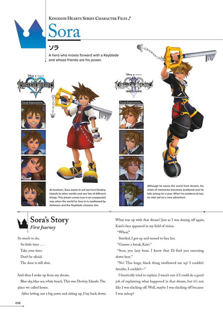 Kingdom Hearts Character Files (224 pages) - Bstorekw